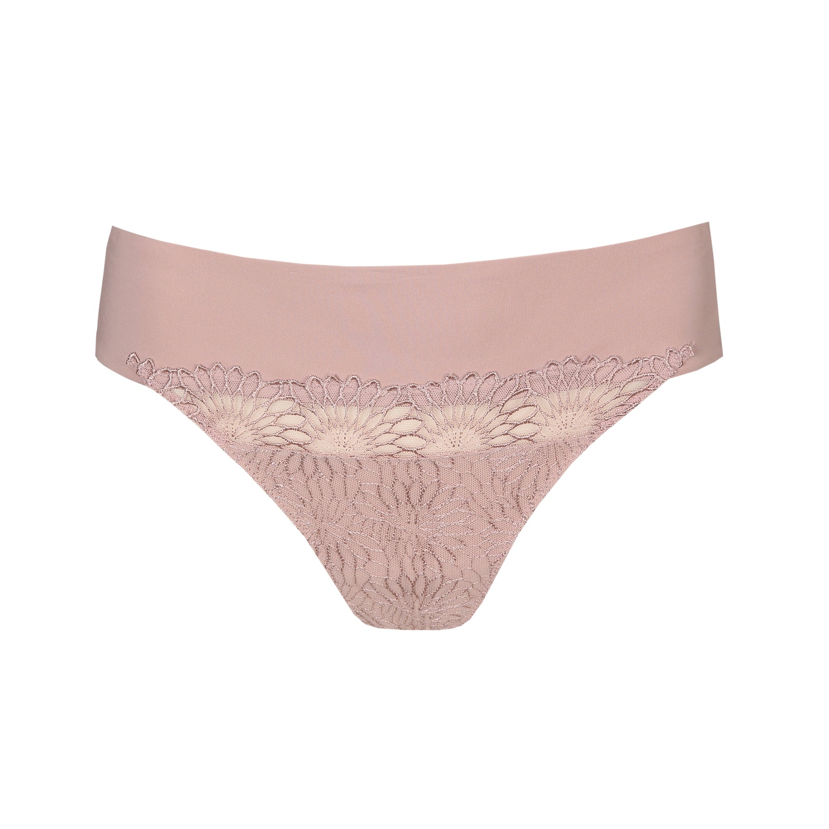 String PrimaDonna - Sophora - Rose - BDS