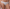Slip Chantelle EasyFeel - Floral Touch - Ivoor - 0LW